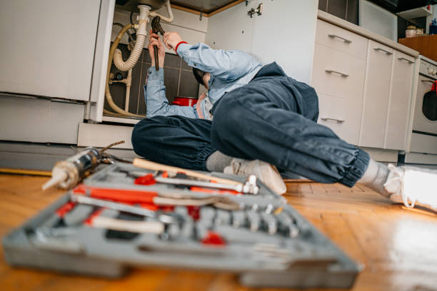 Best Drain Cleaning Services  in Grand Meadow, MN