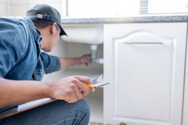 Best Clogged Drain Plumber  in Grand Meadow, MN